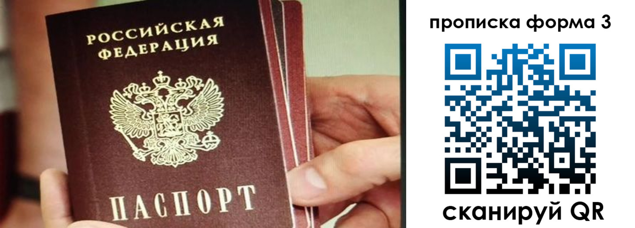 прописка законно в Волоколамске
